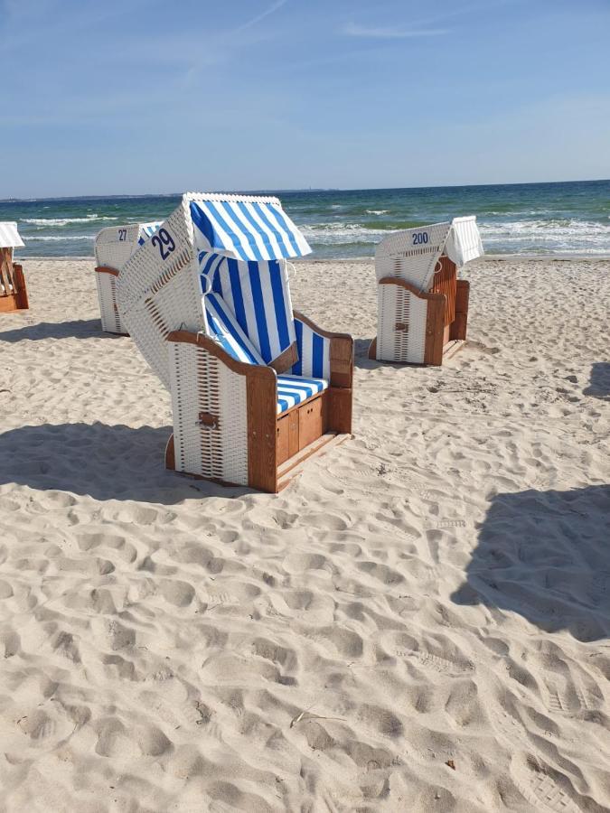 Ostseeblick Apartment *